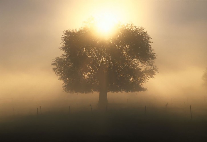 Najpiękniejsze krajobrazy Polski