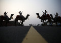INDIA - MILITARY ANNIVERSARY ANIMALS TPX IMAGES OF THE DAY