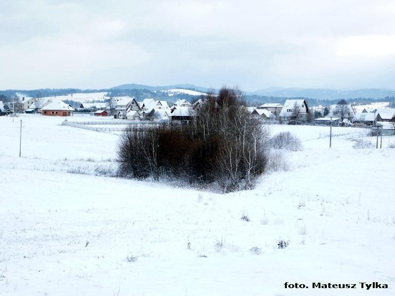 foto. Mateusz Tylka - foto. Mateusz Tylka/Raba Wyżna