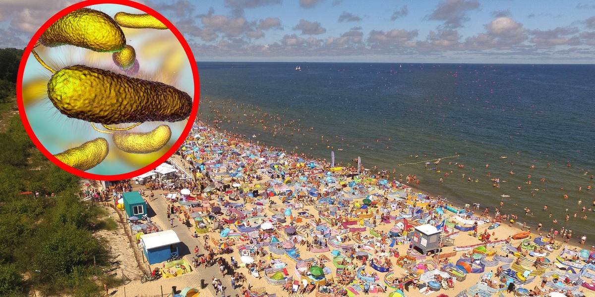 Ta groźna bakteria w 2019 r. zabiła cztery osoby, kąpiące się na niemieckich plażach. Pojawia się też na polskim wybrzeżu Bałtyku.