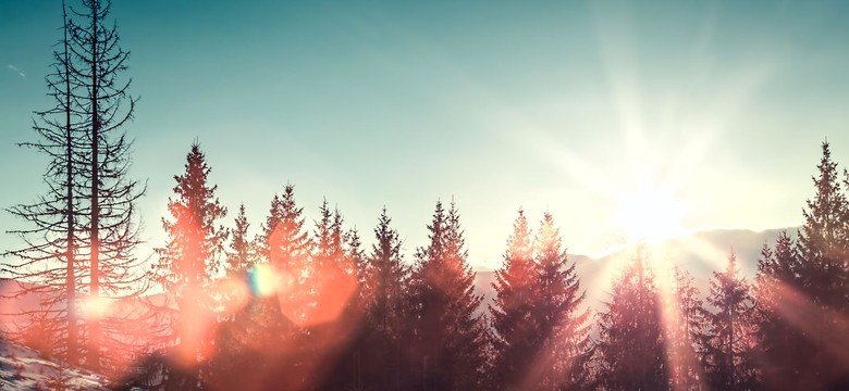 Zachmurzenie i słabe opady śniegu [PROGNOZA POGODY]