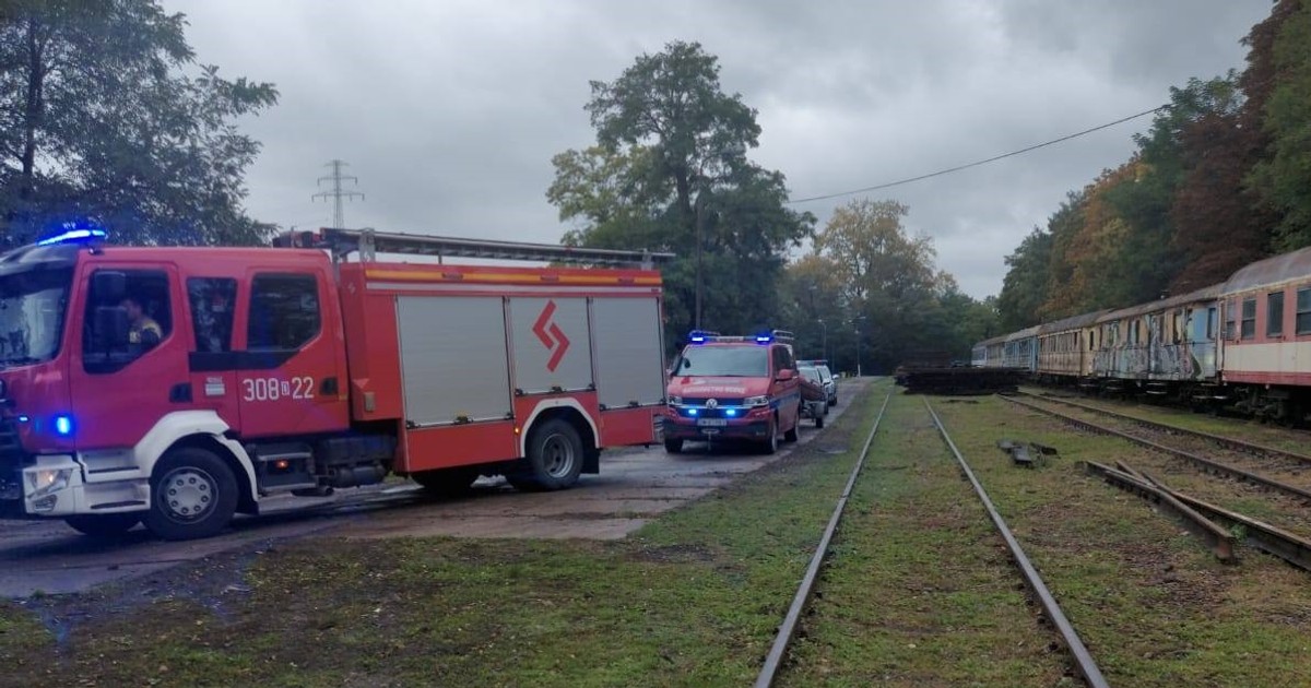 Tragedia na torach, nie żyje 68-latek. Gdy sprawdzili maszynistę, dokonali szokującego odkrycia
