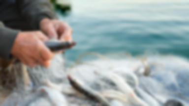 Straż rybacka skontroluje sprzedawców żywych ryb