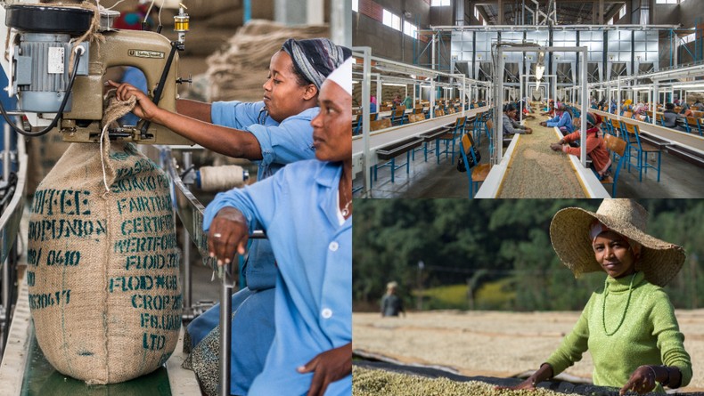 Ethiopian female workers sort and bag arabica coffee beans for export at the Oromia Coffee Farmers Cooperative. [Photo by: Edwin Remsberg/VWPics/Universal Images Group via Getty Images]