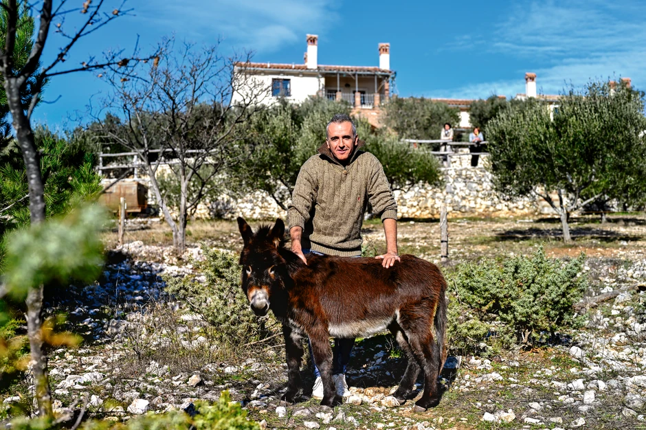 Imaju i dva magarca - Roka i Tea, koje gosti obožavaju