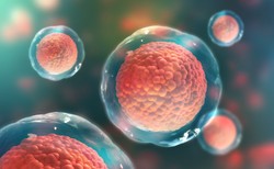 To przełom w leczeniu raka? Robot wpuszczony do organizmu zabija komórki rakowe