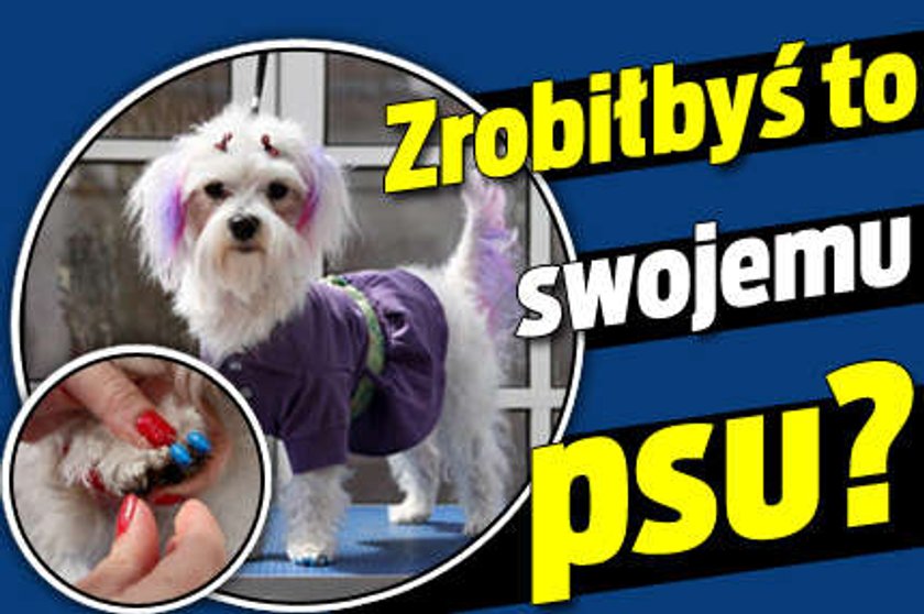 Zrobiłbyś to swojemu psu?