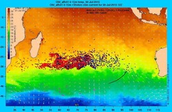 Rejs MH370: Rodziny nie wierzą władzom, analizy potwierdzają pochodzenie szczątków