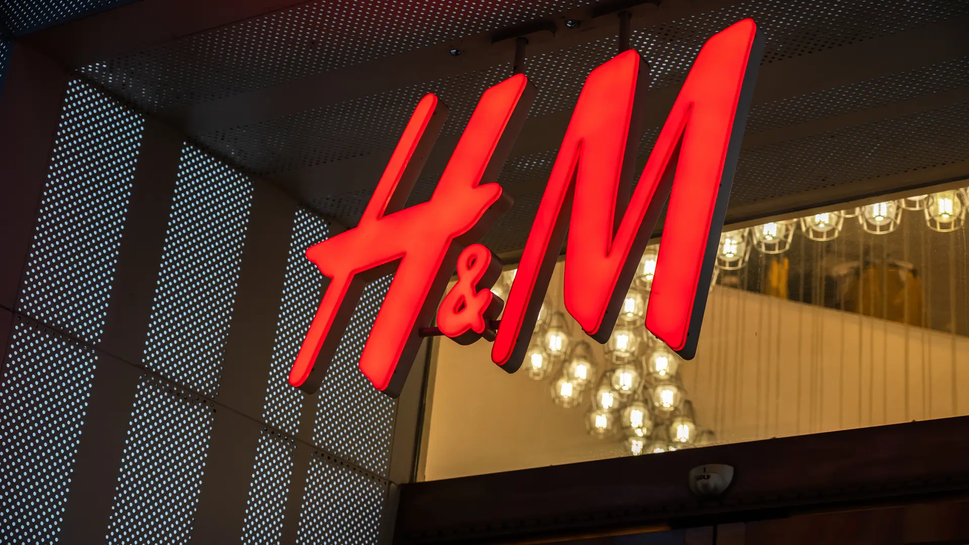 H&M wstrzymuje zakup brazylijskiej skóry - dlaczego to ważne dla lasów Amazonii