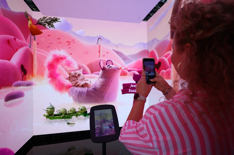 Kiedy kot mówi: „kocham Cię”. Co zdradzają jego gesty, mruczenie i osobowość?