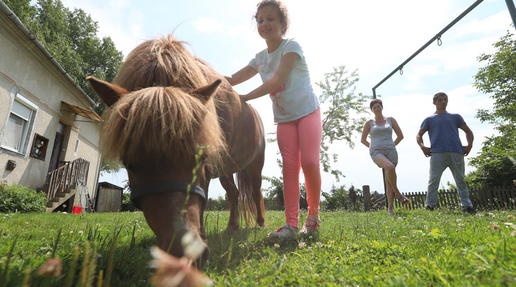 Zoé mindene a törpe 
négylábú, de napokon belül máshol kell nevelnie /Fotó: Isza Ferenc