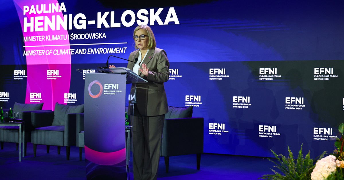 Smog kosztuje Polskę 100 mld zł rocznie. Minister klimatu widzi szansę w OZE