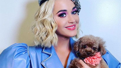 Állatkínzással vádolják Katy Perryt: ezzel verte ki a biztosítékot követőinél