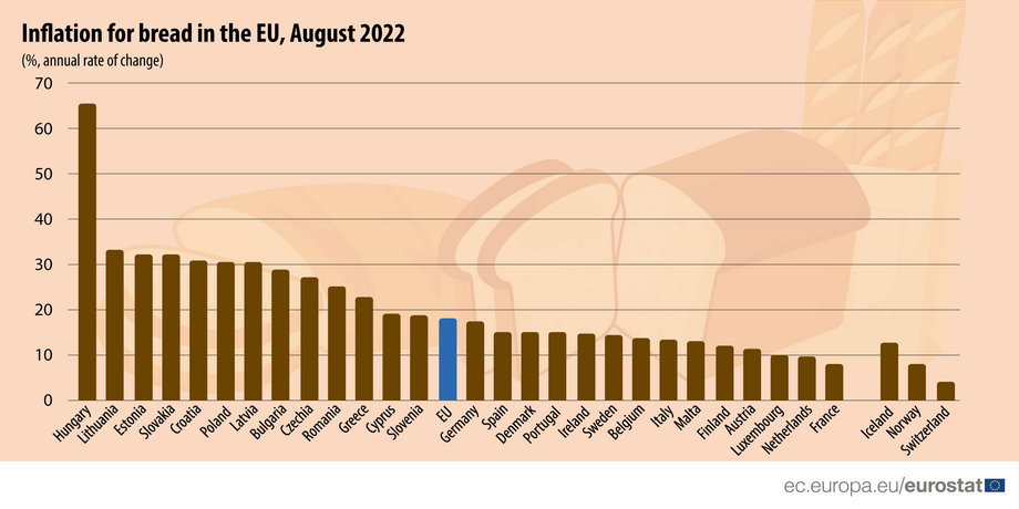 Wzrost cen chleba w sierpniu 2022 r. (w % w skali roku). 
