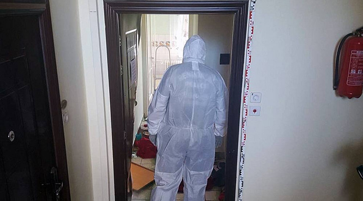 A lakásban egy fenyegetőző férfit fogtak el / Fotó: police.hu