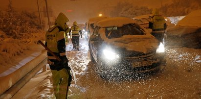 Śnieżyca sparaliżowała Hiszpanię. Psie zaprzęgi na ulicach! WIDEO