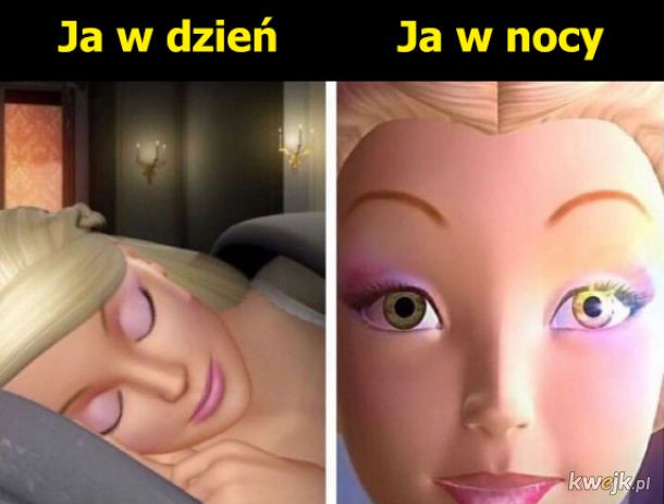 Memy o Barbie