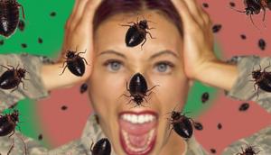 Is your home beg bugs infested?[BodyDesignsbyMary]