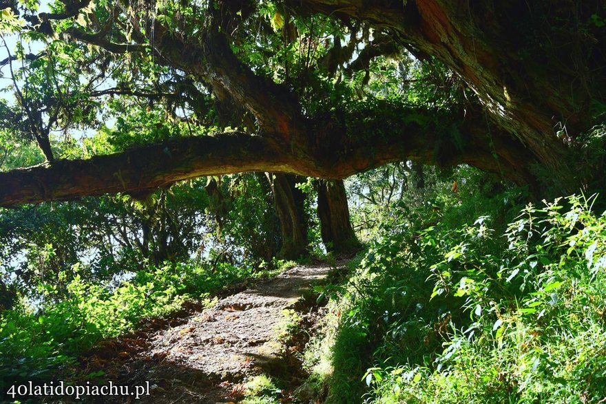 W drodze na Mount Meru