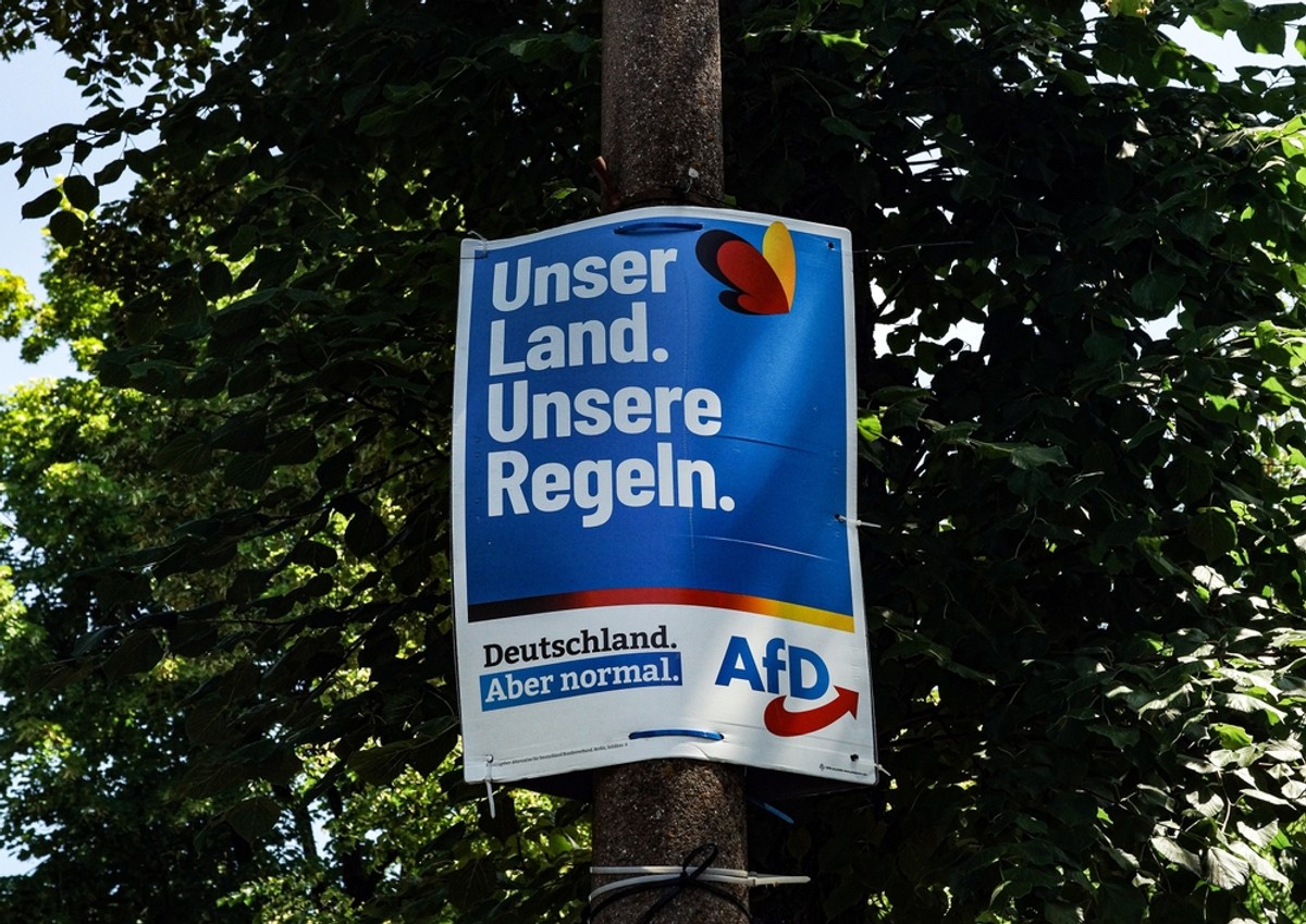 Konfederacja within the European Parliament along with the far-right AfD