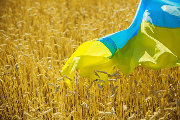 Reforma ma kilka etapów. Pierwszy wejdzie w życie 1 lipca 2021 r. Wówczas prawo zakupu najwyżej 100 ha ziemi rolnej zyskają ukraińscy obywatele