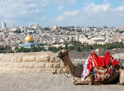 Palestyna grozi wycofaniem się z porozumienia z Oslo. "Plan USA to stała okupacja"