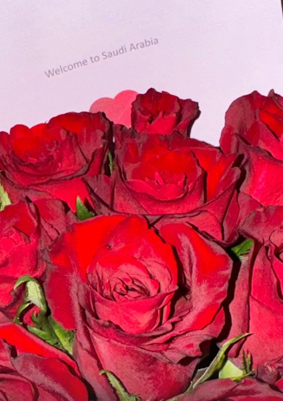 Ana Rajković se preselila u Saudijsku Arabiju