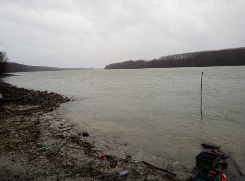 Migranti, utapanje, Dunav, Odžaci