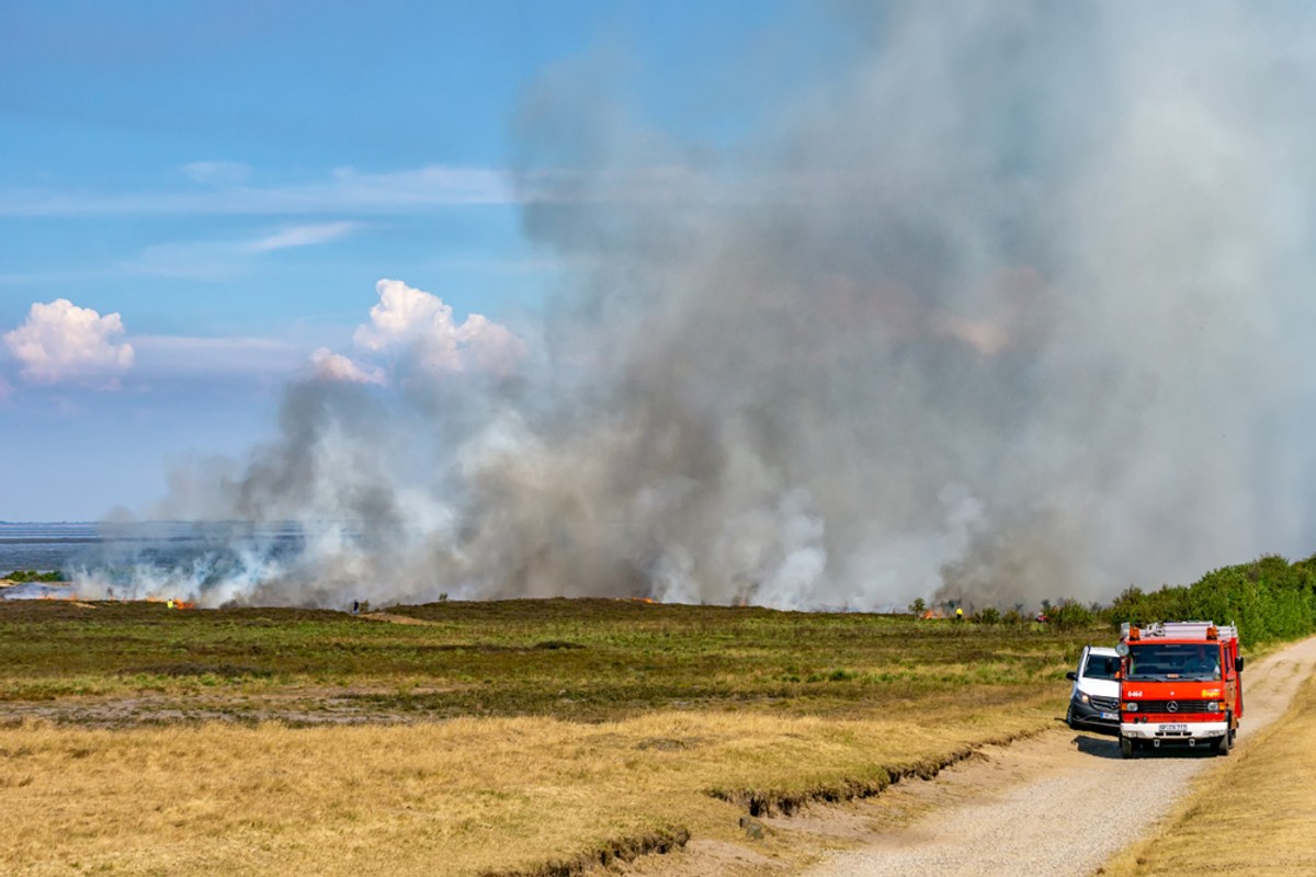 Pożar lasów Niemcy