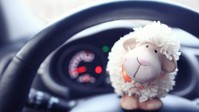 Bárányhúst evett, majd fizetés nélkül elszaladt: a pincér beült a BMW-jébe, és 3 órás hajsza után utolérte című cikk nyitóképe