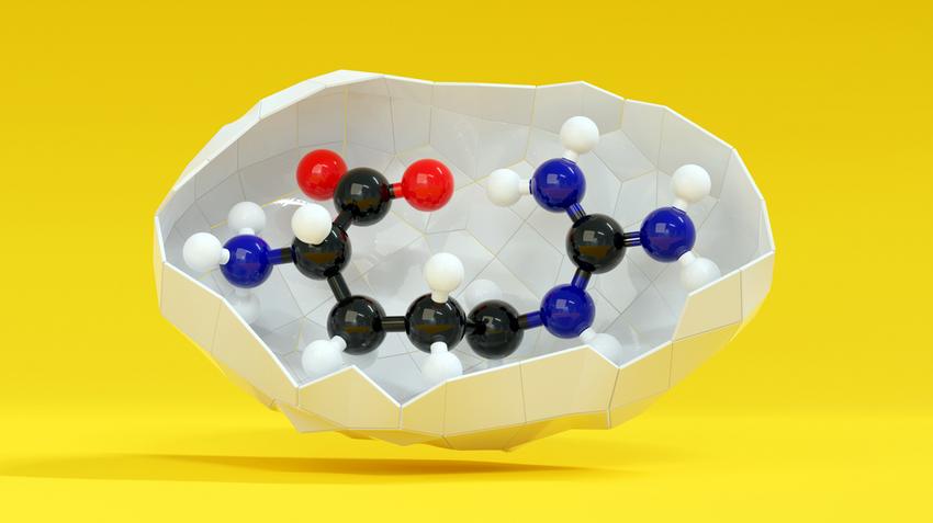 covid-19. l-arginin, arginin, aminosav, koronavírus, gyógyulás