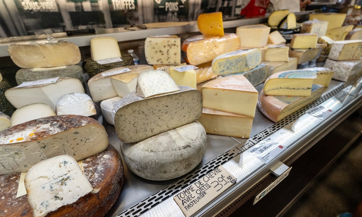 Tak jedzenie sera wpływa na pracę mózgu. Rewolucyjne odkrycie naukowców