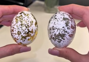 Jedan sastojak iz frižidera pretvara obična jaja u uskršnja remek dela