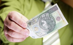 Problemy Polaków z płaceniem alimentów. Najstarszymi dłużnikami są dwaj panowie z rocznika... 1929