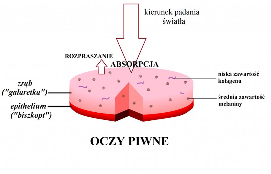 Oczy piwne