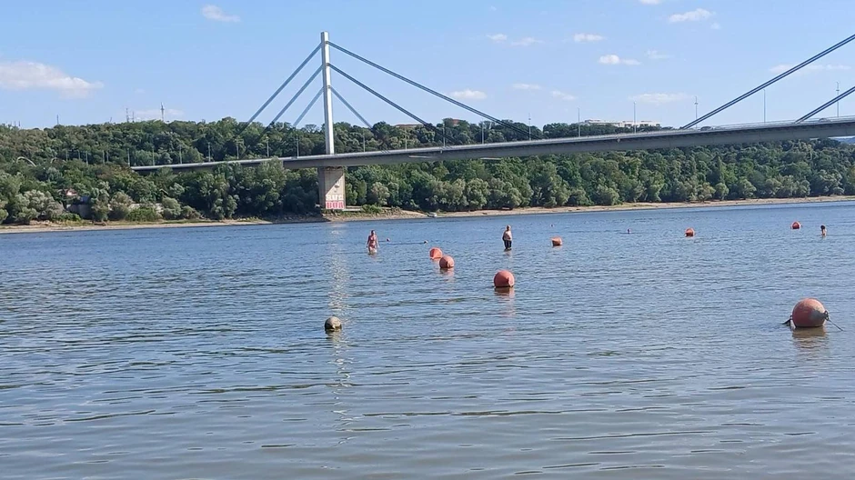 Kupači u Dunavu u Novom Sadu stoje na sredini reke | Foto: BBC/Milena Dragović