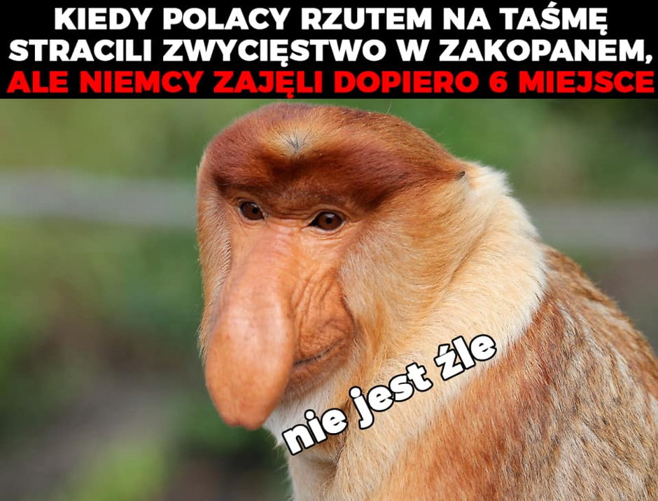 Memy po PŚ w Zakopanem