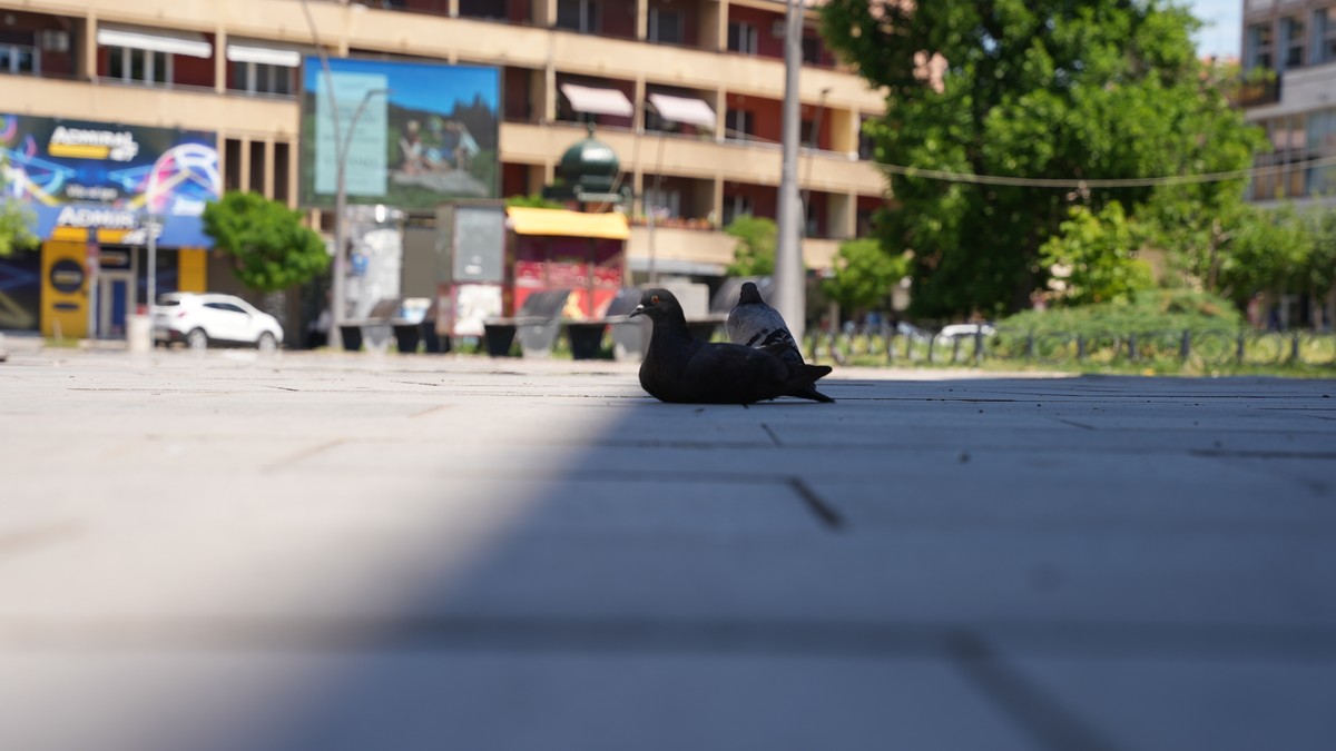 Čačak