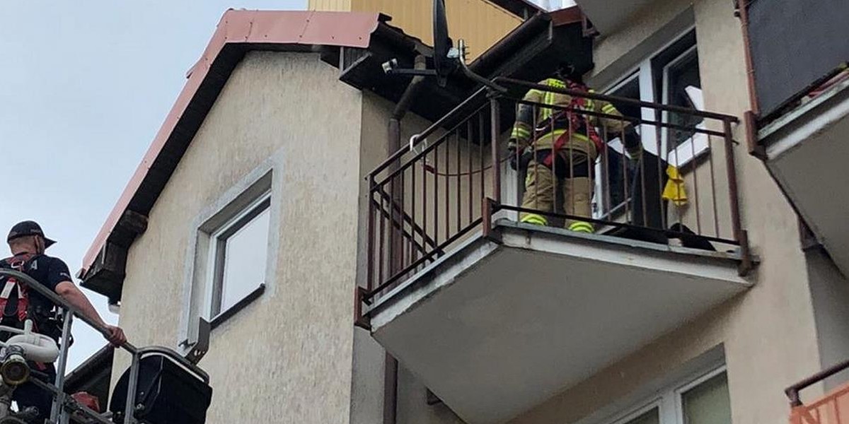 Zostawili go na pastwę losu. Maluszek nie miał jedzenia ani picia, a z nieba lał się żar