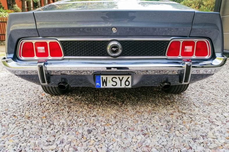 Ford Mustang Adama Klimka na sprzedaż