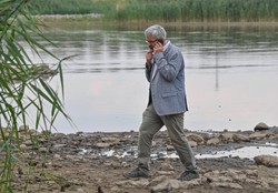 Niemcy o katastrofie na skalę niespotykaną od 1989 roku. "Zginęło do 50 proc. ryb w Odrze"