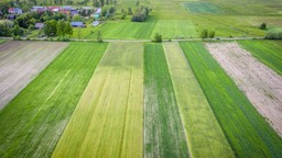 Wzrost cen nawozów. Wiceminister rolnictwa: Kierujemy wniosek do UOKiK