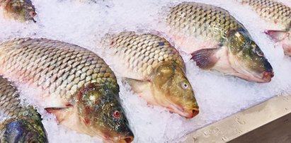 Lidl przecenia karpia! Czy ludzie znów oszaleją?