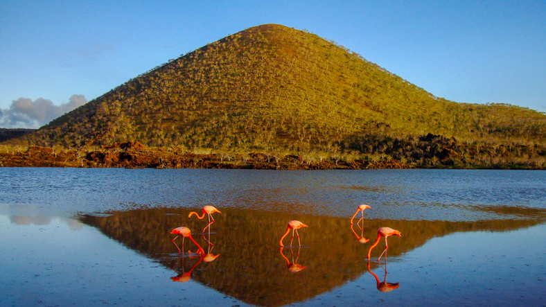 Floreana, Galapagos