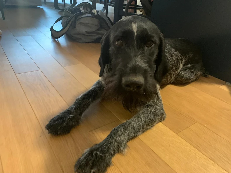 Potrebna joj je jednokratna terapija, bez koje će uskoro uginuti