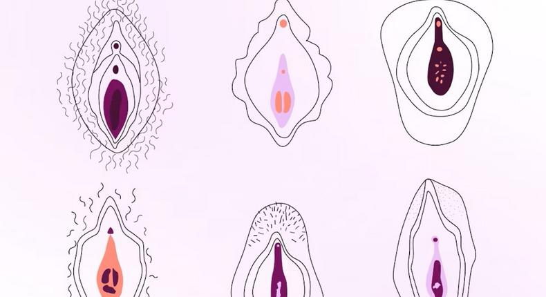 Hymen can vary in shape, size, and thickness [Natural cycles]