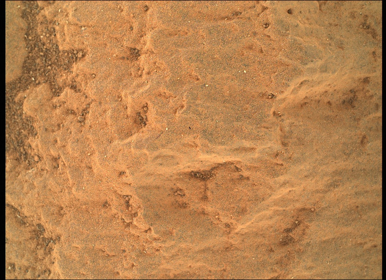 Zbliżenie na marsjańskie skały wykonane przez aparaturę łazika Perseverance