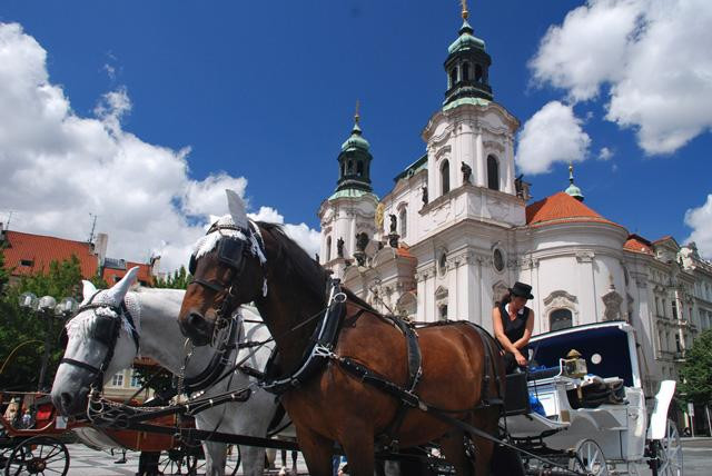 Galeria Czechy - Praga z kuflem i aparatem, obrazek 12