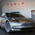 Tesla podjęła katastrofalną decyzję w kwestii Modelu Y