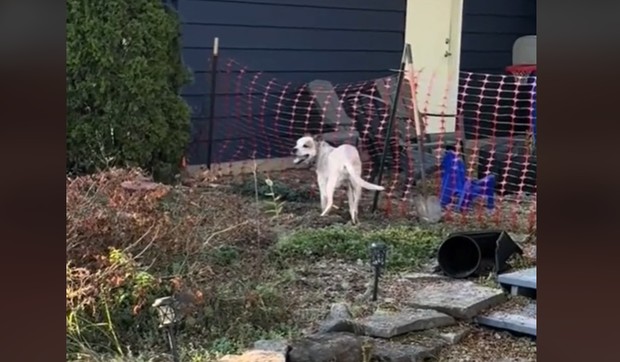 Dvorište gde je pronađen tepih